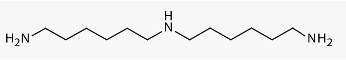 INVISTA Dytek BHMT Molecular Structure