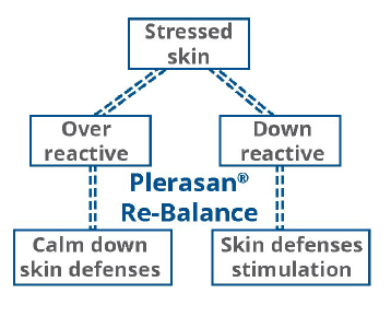 ROELMI HPC Plerasan Re-balance Plerasan Re-Balance: mechanism of action