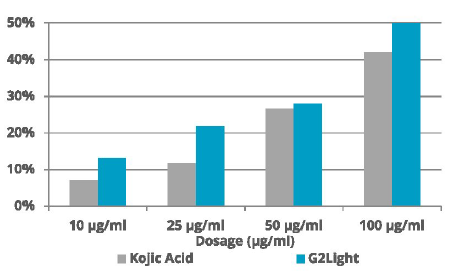 ROELMI HPC G2Light In-vitro efficacy dossier: Inhibitory effort on Melanin formation