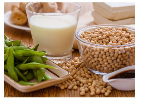AcerChem International Fava Bean Protein Features