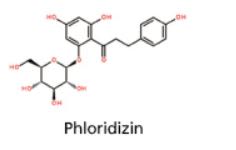 JF Natural Apple Extract Phloridzin Apple Extract Phloridzin Structure