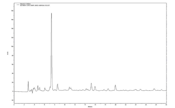 Berkem Grape seed extract (R0563) HPLC Profile