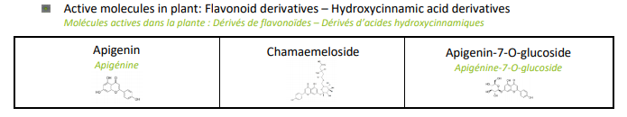 Berkem Organic Roman chamomile extract (R0583) Active Molecules in Plant
