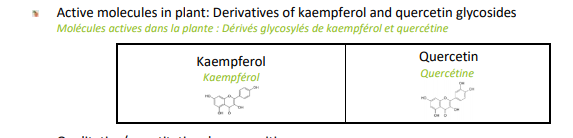 Berkem Roman chamomile extract (R0572) Active Molecules in Plant