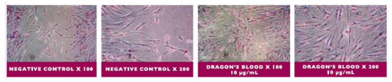 Cobiosa Dragon’s Blood Product Efficacy Studies