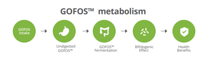 Galam GOFOS P95 Nutraceutical GOFOS Metabolism