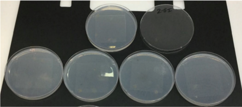DuPont Tedlar TTR10BM3 Resistance to Bacteria - 1