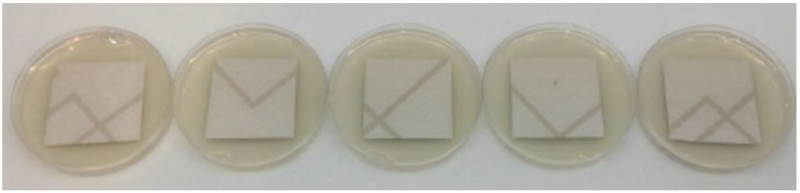 DuPont Tedlar TTR10BM3 Resistance to Bacteria - 2