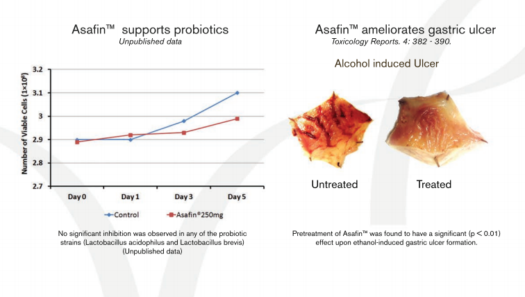 Akay Group Asafin Asafin supports probiotics