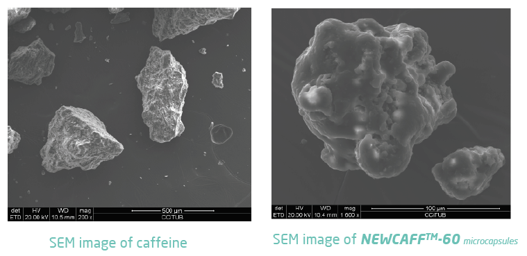 Lipofoods NEWCAFF microcapsules Scanning Electron Microscopy
