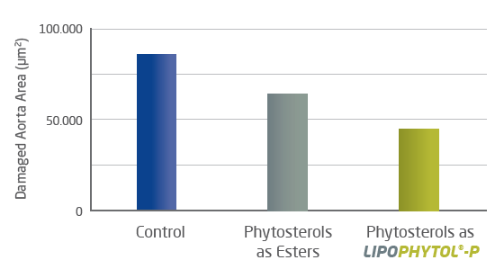 LIPOPHYTOL™ microcapsules - In Vivo Efficacy - 1