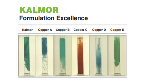 Kalmor® - Particle Size Comparisons