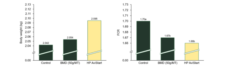 Hamlet Protein HP AviStart - Effect - 1
