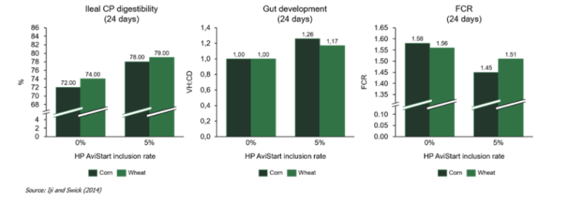 Hamlet Protein HP AviStart - Correlation Between Digestibility And Gut Health - 1