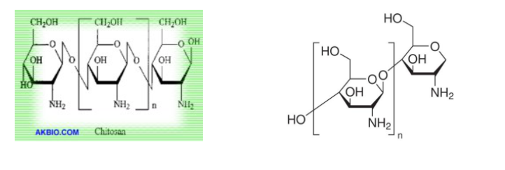 AK Biotech Food grade chitosan - Chemical Structure