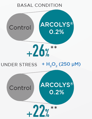 Arcolys® - Proven Efficacy - 3