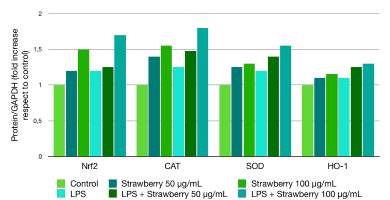 Greentech Strawberry Organic HGLY (SB) - Test Data - 2