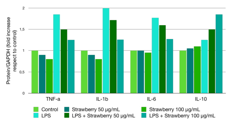 Greentech Strawberry Organic HGLY (SB) - Test Data - 4