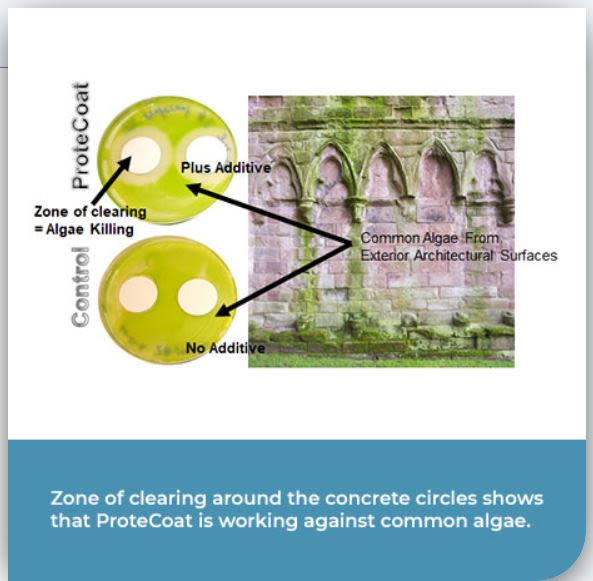 ProteCoat® - Protecoat At Work - 2