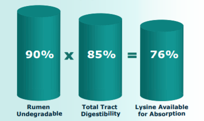 EB-LYS™ - Bypass And Digestibility