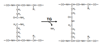 Dairyzym PT 500 LAC - Chemical Structure