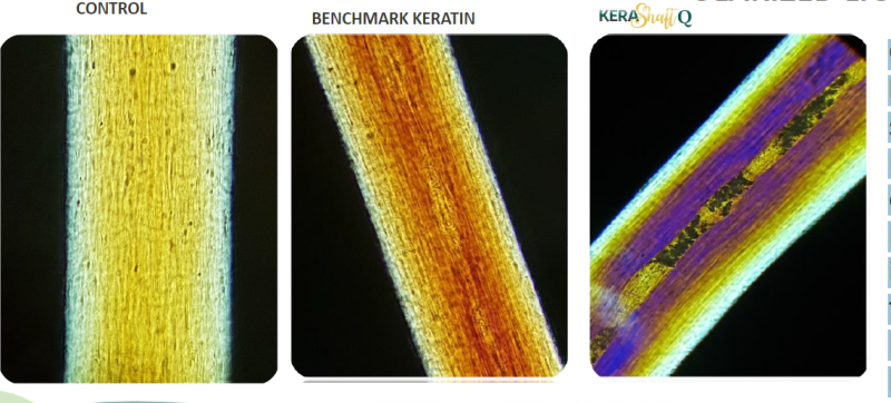 KERASHAFT Q - Polarized Light Microscopy
