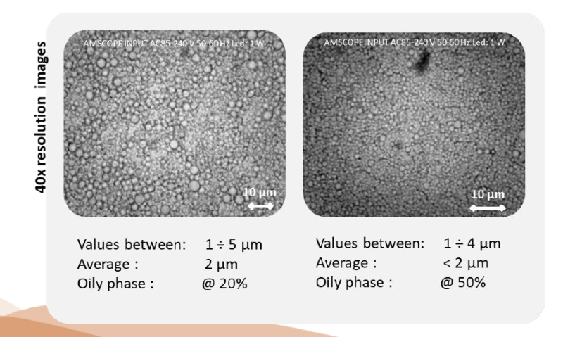 OLIVOIL® GLUTAMATE EMULSIFIER - Microscope Analysis of Oilvoil Glutamate Emulsions