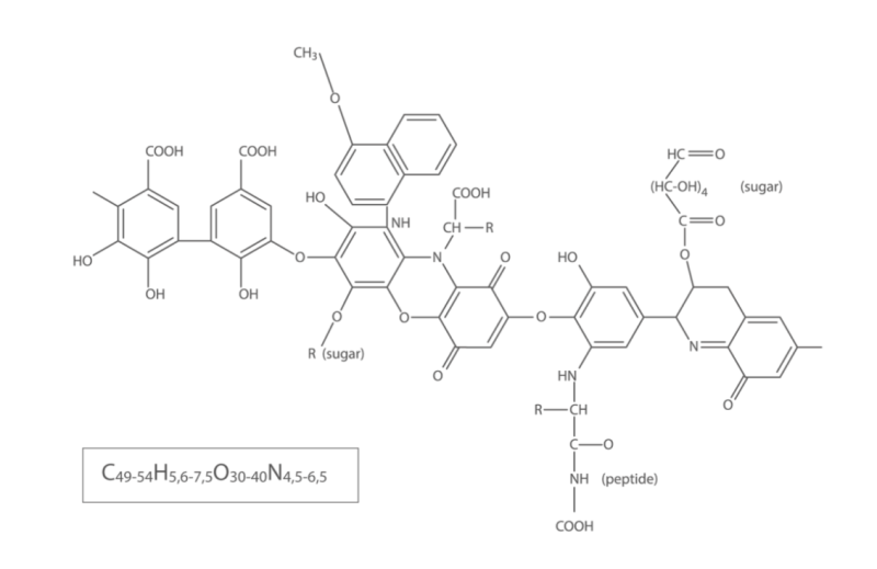 Humic acids of Pelosilt® - Structure