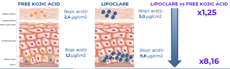 LIPOCLARE - The Concentration of Lipoclare