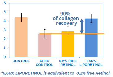 LIPORETINOL - Anti - Aging & Collagen Synthesis Stimulation