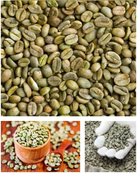 Finlay Tea Solutions US Green Coffee Beans - Product Highlights