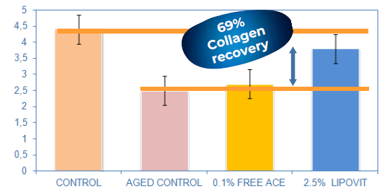 LIPOVIT - Anti - Aging & Collagen Synthesis Stimulation