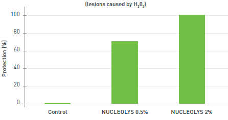 Nucleolys HS DN - Proven Efficacy - in Vitro Test - 3