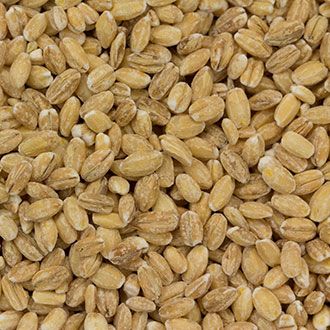 Dakota Specialty Milling Barley - Product Highlights