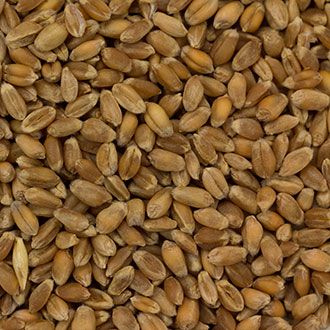 Dakota Specialty Milling Wheat - Product Highlights