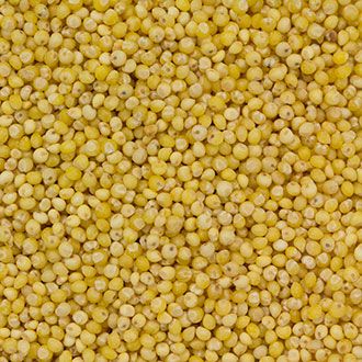 Dakota Specialty Milling Millet - Product Highlights