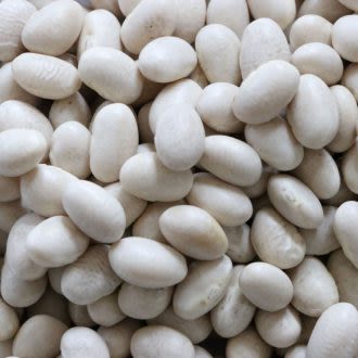 Dakota Specialty Milling Beans - Product Highlights