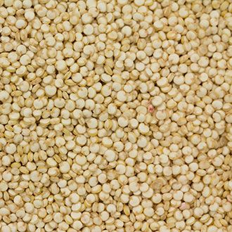 Dakota Specialty Milling Quinoa - Product Highlights