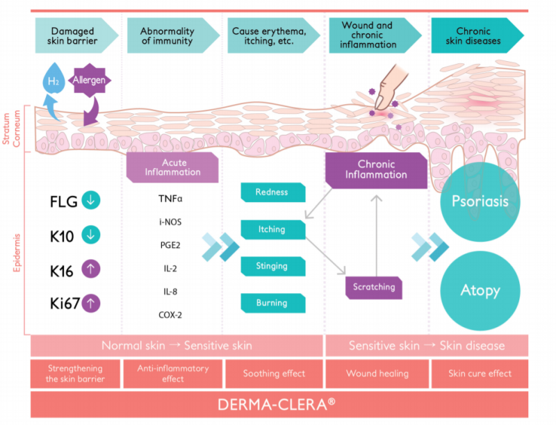 Derma-Clera® - Test Data