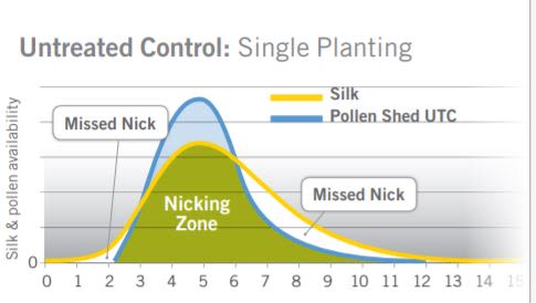 BioNik® - Untreated Control: Single Planting