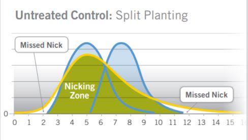BioNik® - Untreated Control: Split Planting