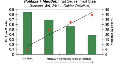 PoMaxa® - Pomaxa Apple Thinning - Western Us