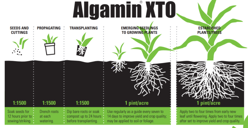 Algamin® XTO - Product Details
