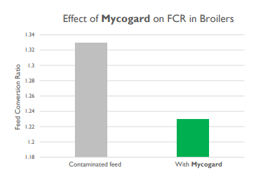 Mycogard™ - Product Effect