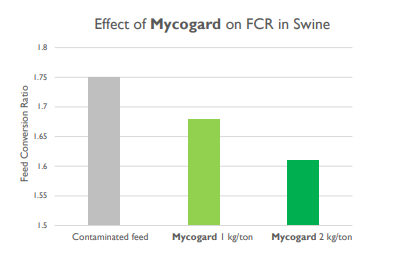 Mycogard™ - Product Effect - 1