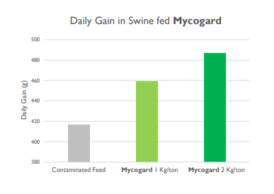 Mycogard™ - Product Effect - 2