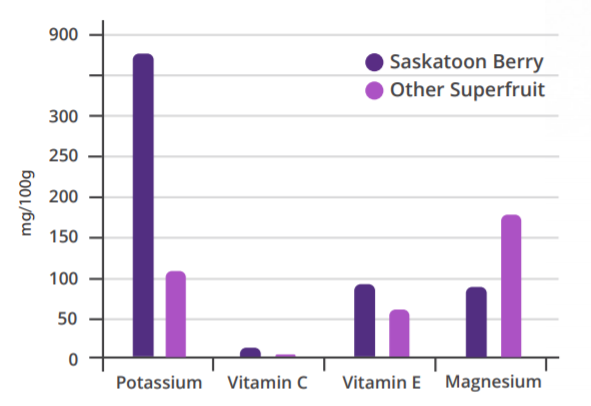 Prairie Berries Freeze Dried Saskatoon Berry Powder - Nutrition Facts