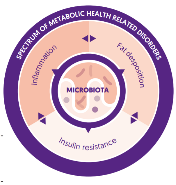 Ecologic® Barrier for Metabolic Health - Product Highlights