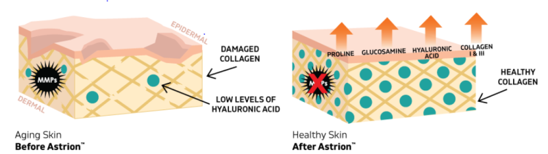 Astrion™ - What Sets Astrion™ Apart From Other Skin Health Ingredients?