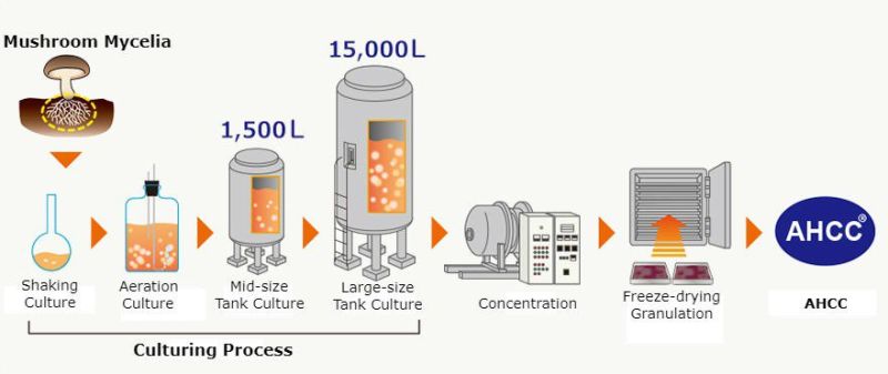 AHCC® - Proprietary Long-Term Liquid Culturing Process.